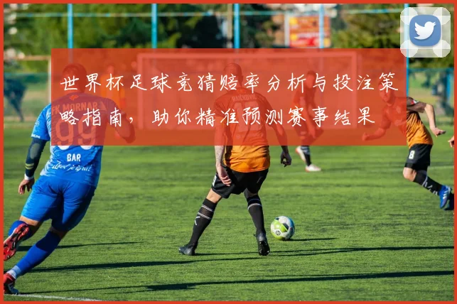 世界杯足球竞猜赔率分析与投注策略指南，助你精准预测赛事结果