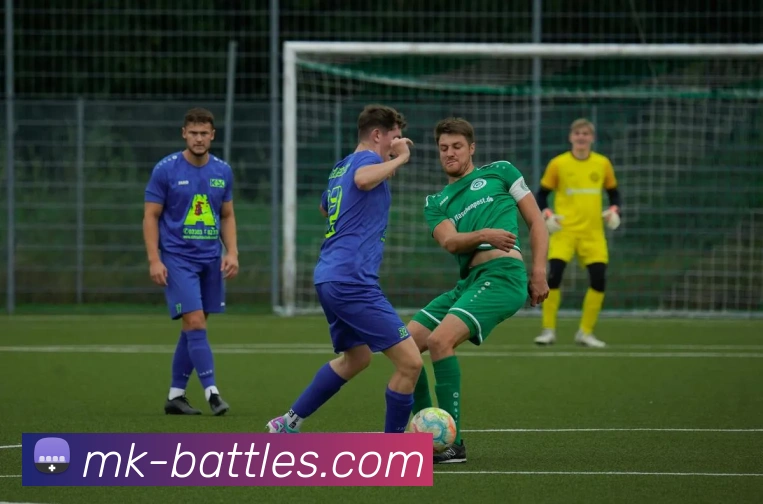 MK体育平台展示图